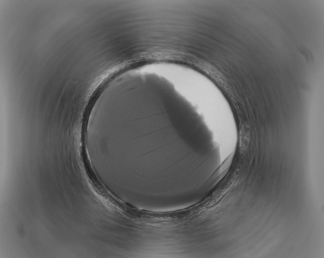 X0000111910438200909071200