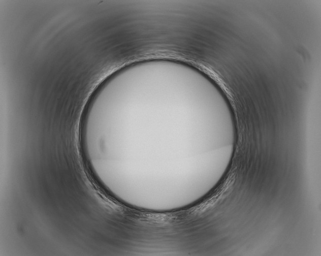 X0000111910439200909071200