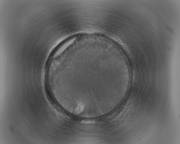 X0000111910440200909071200