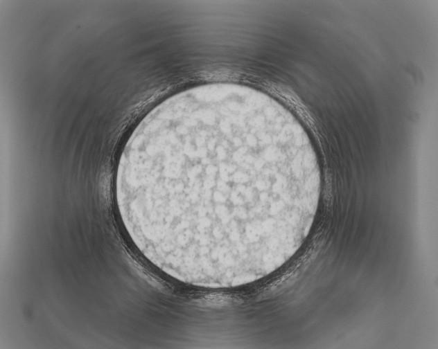 X0000111910441200909071200