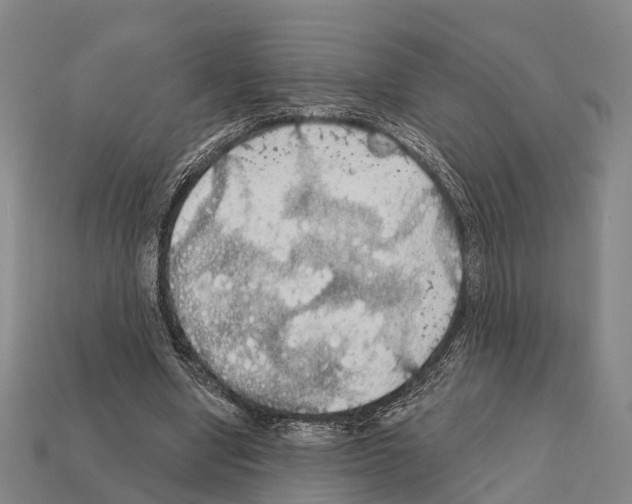 X0000111910442200909071200