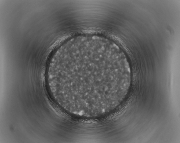 X0000111910443200909071200