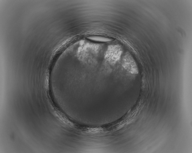 X0000111910446200909071200