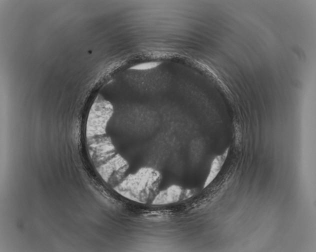 X0000111910447200909071200