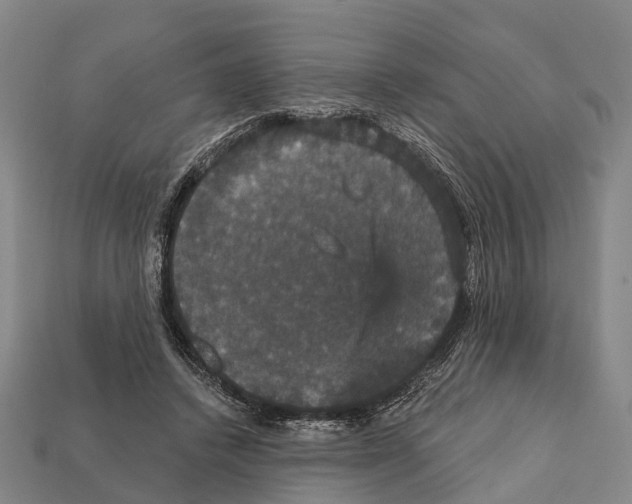 X0000111910448200909071200