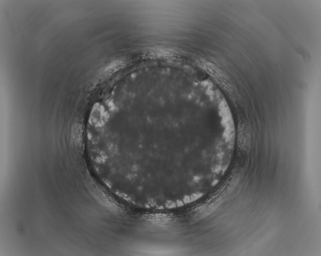 X0000111910449200909071200