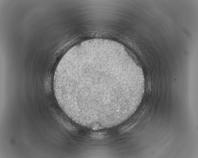 X0000111910450200909071200