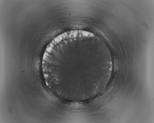 X0000111910451200909071200