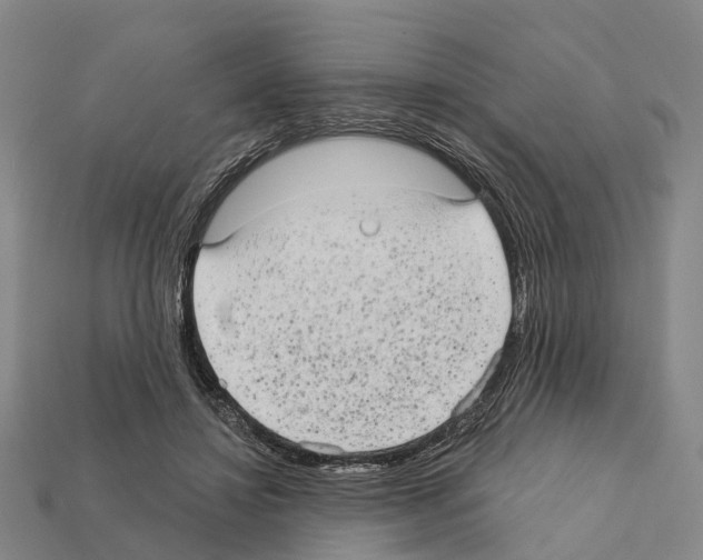 X0000111910452200909071200