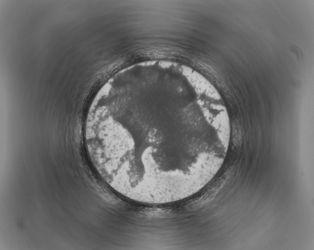 X0000111910453200909071200