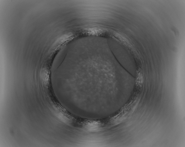 X0000111910456200909071200