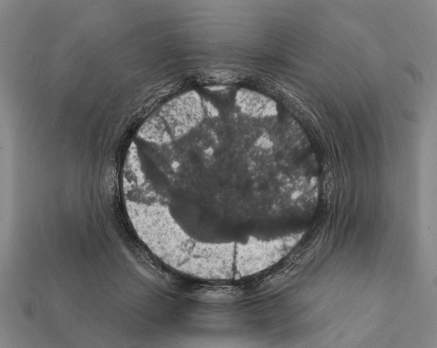 X0000111910459200909071200
