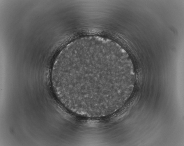X0000111910462200909071200