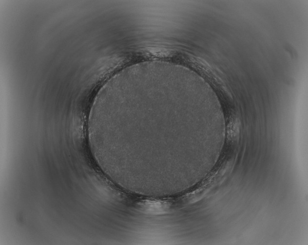 X0000111910464200909071200