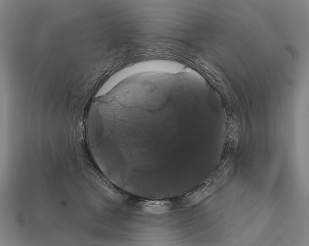 X0000111910465200909071200