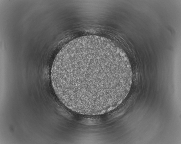 X0000111910466200909071200