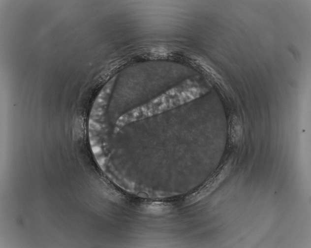 X0000111910467200909071200
