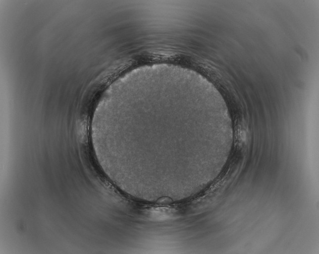 X0000111910468200909071200