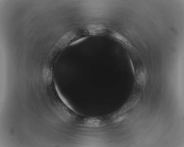X0000111910471200909071200
