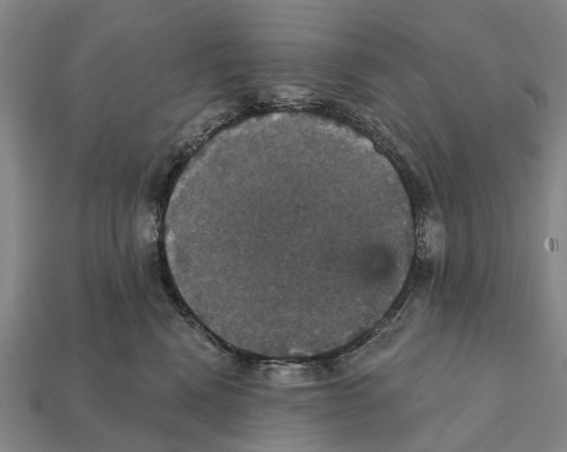 X0000111910472200909071200