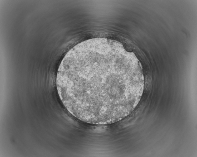 X0000111910474200909071200