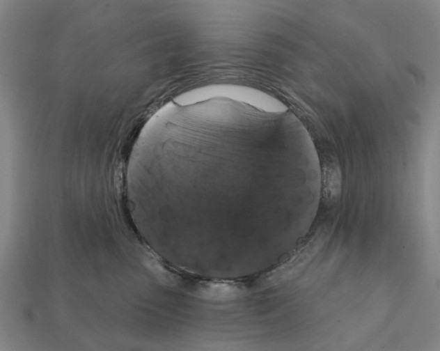 X0000111910475200909071200