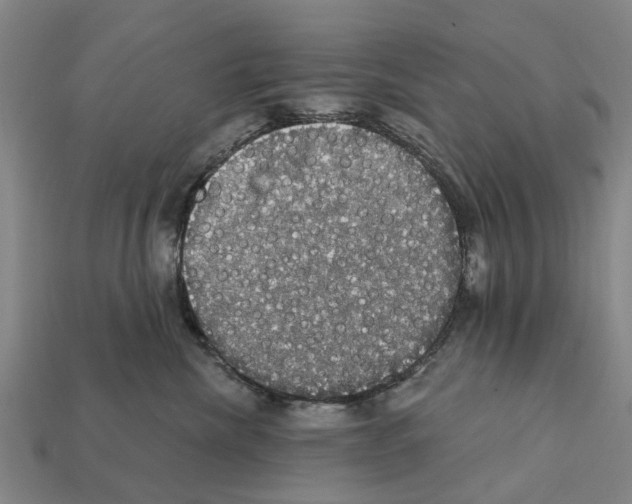 X0000111910476200909071200
