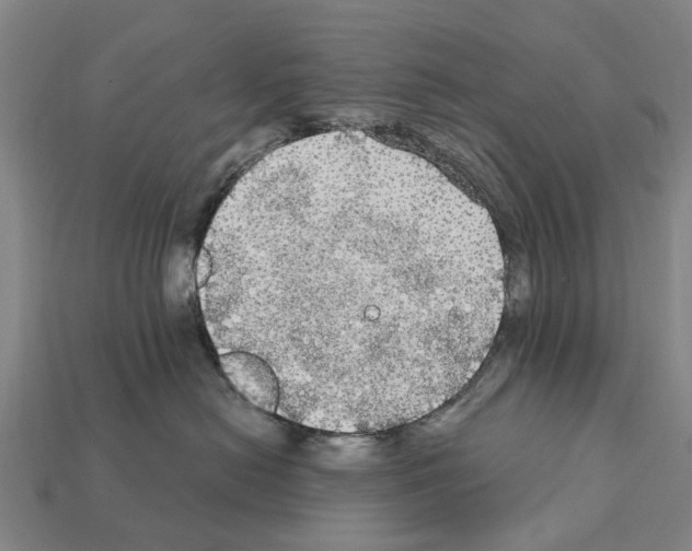 X0000111910478200909071200