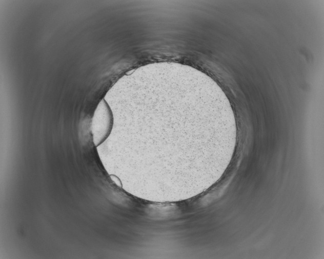 X0000111910480200909071200