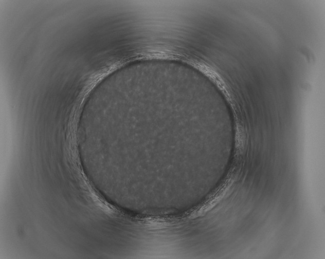 X0000111910481200909071200