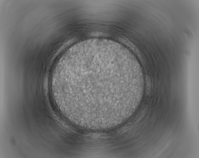 X0000111910482200909071200