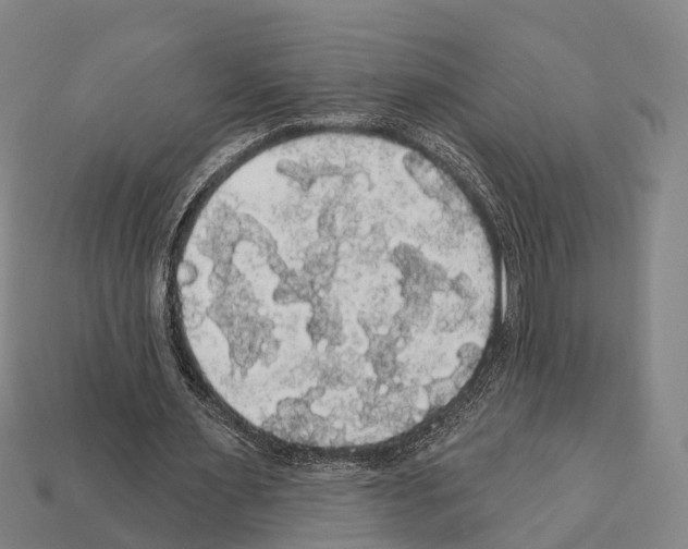 X0000111910483200909071200
