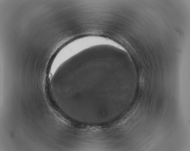 X0000111910484200909071200