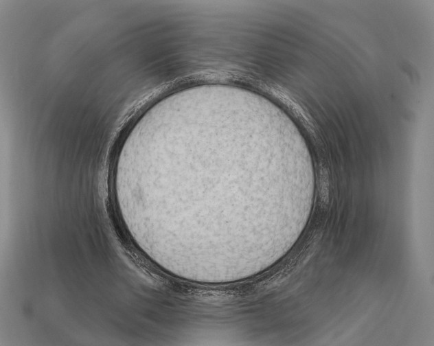 X0000111910486200909071200