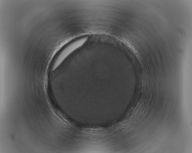 X0000111910488200909071200