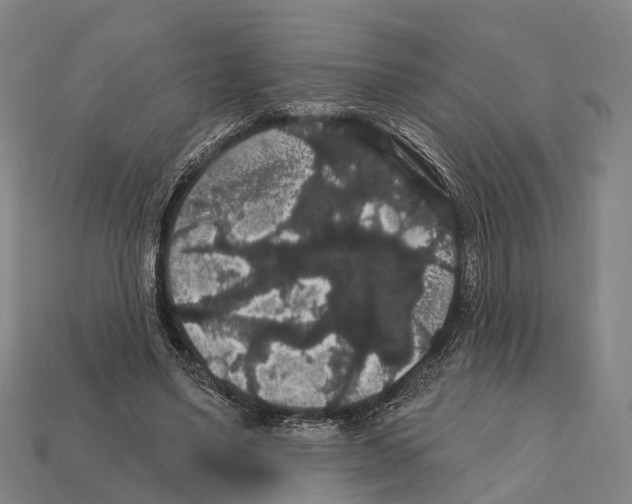 X0000111910491200909071159