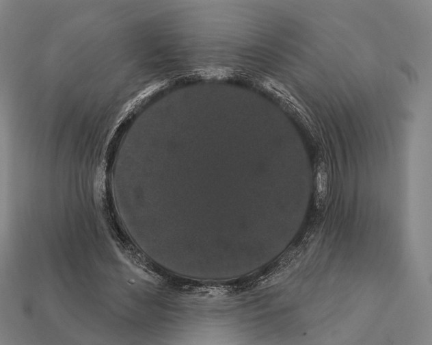 X0000111910492200909071159