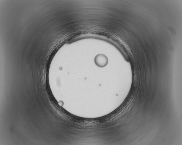 X0000111910493200909071159