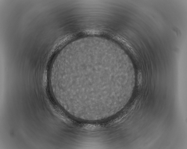 X0000111910494200909071159