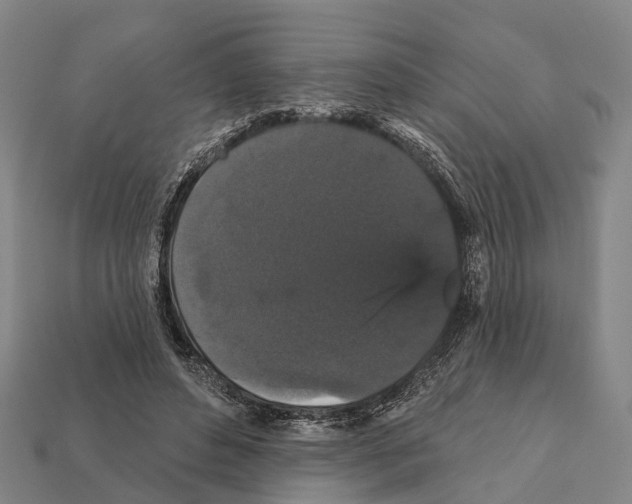 X0000111910496200909071159