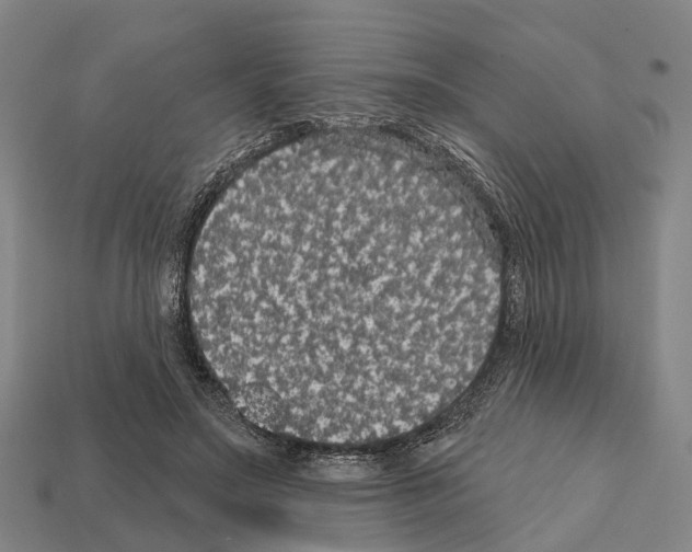 X0000111910499200909071159