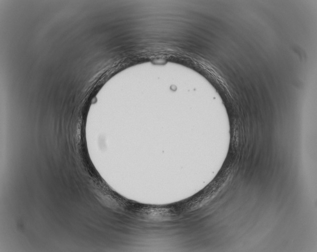 X0000111910501200909071159