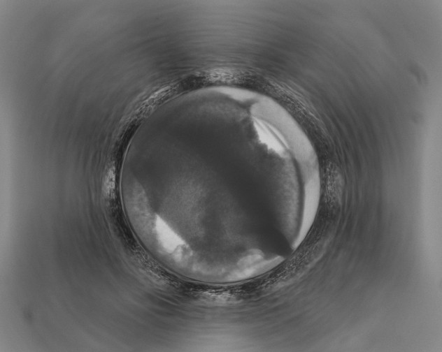 X0000111910502200909071159