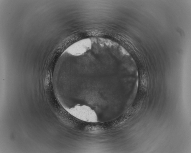 X0000111910503200909071159