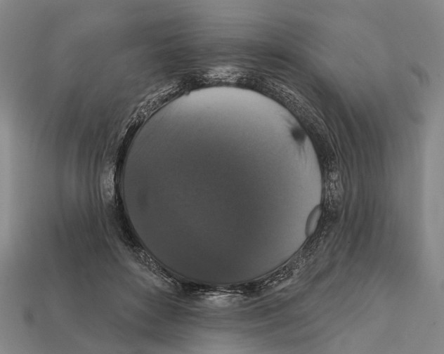 X0000111910504200909071159