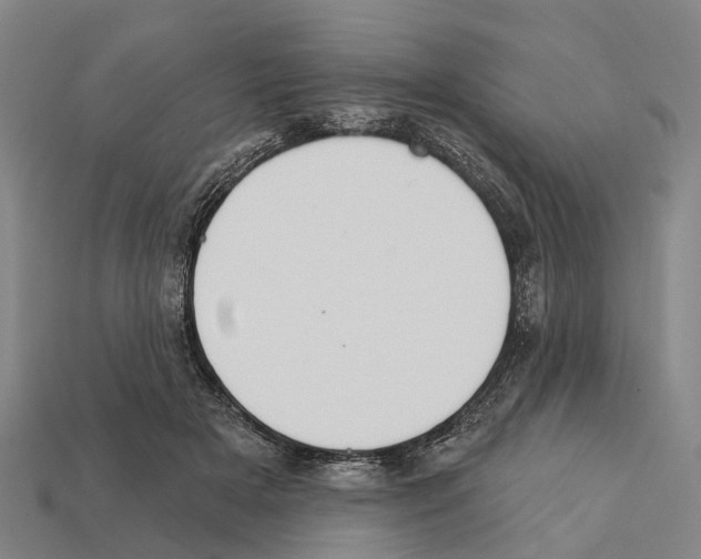 X0000111910505200909071159