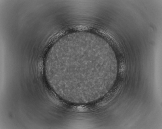 X0000111910506200909071159