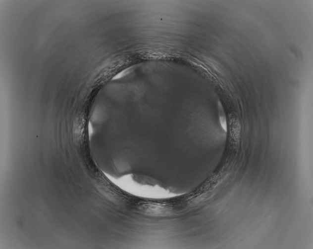 X0000111910507200909071159