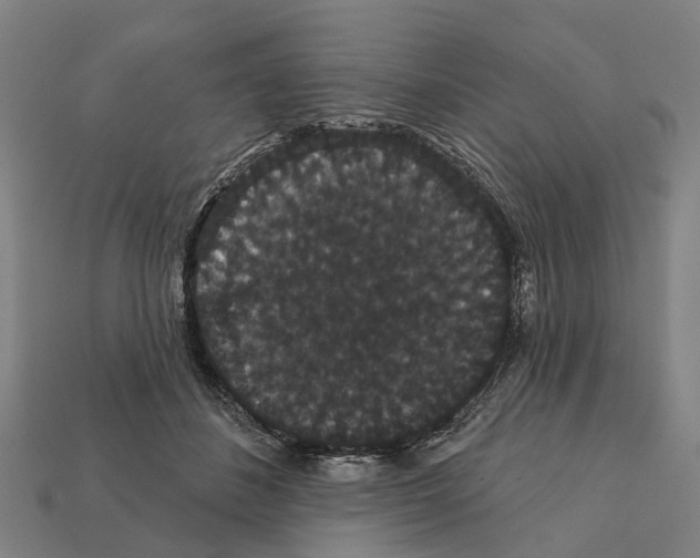 X0000111910508200909071159