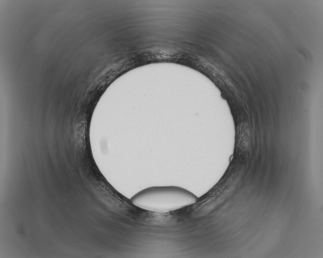 X0000111910509200909071159